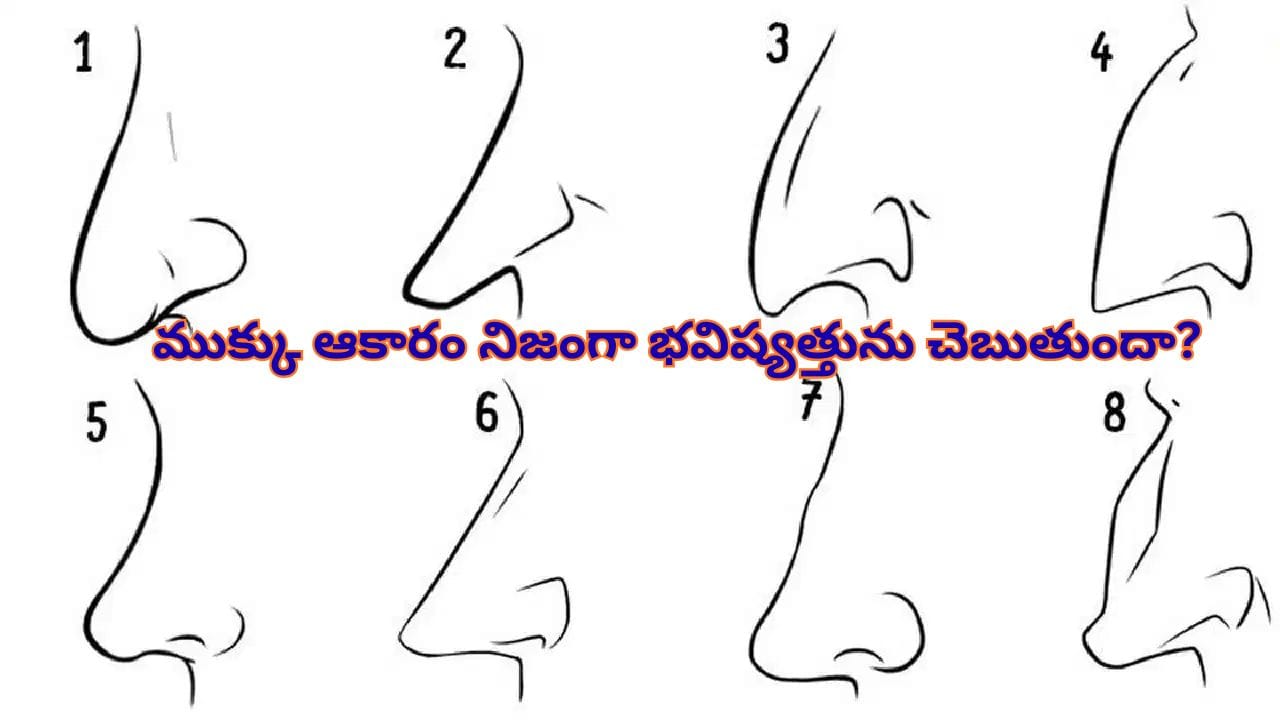 మీ ముక్కు ఆకారం ఏం చెబుతోంది? వ్యక్తిత్వం, అదృష్టం, నాయకత్వ లక్షణాలపై ప్రత్యేక విశ్లేషణ