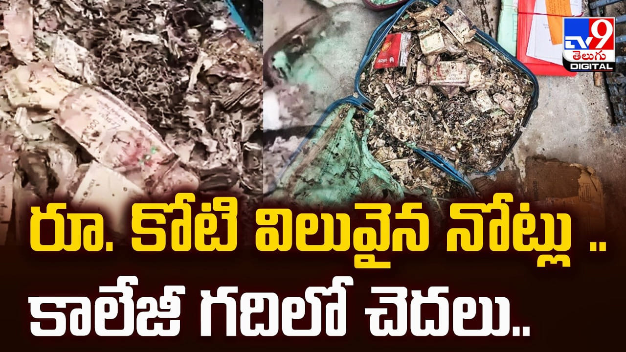 రూ. కోటి విలువైన నోట్లు.. కాలేజీ గదిలో చెదలు..