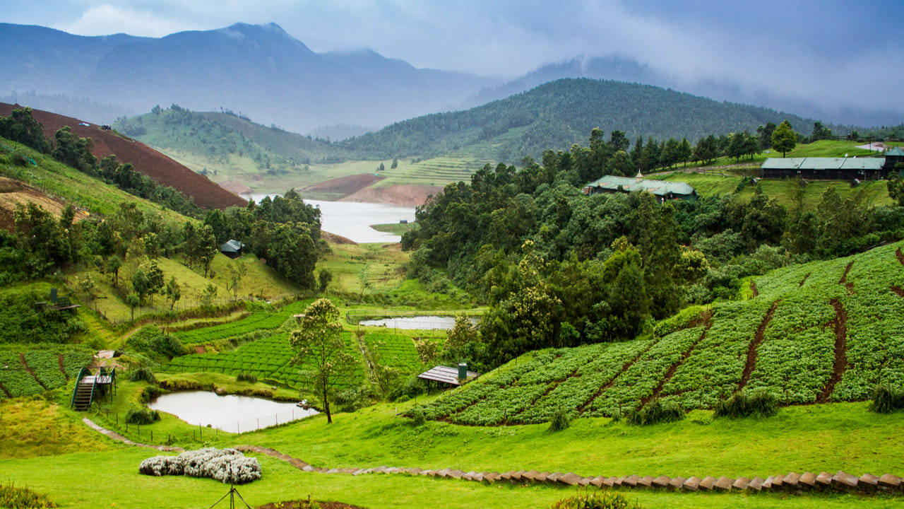 ఊటీ, తమిళనాడు (Ooty): మీరు దక్షిణ భారతదేశంలోనే ఒక అద్భుతమైన హిల్ స్టేషన్‌ను సందర్శించాలనుకుంటే ఊటీ సరైన ఎంపిక. నీలగిరి కొండల మధ్య ఉన్న ఈ ప్రదేశం చుట్టూ టీ తోటలతో పచ్చదనంగా ఉంటుంది. ఇక్కడి ఊటీ సరస్సులో (Ooty Lake) బోటింగ్ చేయడం, బొటానికల్ గార్డెన్‌లో పిల్లలతో కలిసి ఆడుకోవడం ఎంతో సరదాగా ఉంటుంది. ఇక్కడి నీలగిరి మౌంటైన్ రైల్వే (టాయ్ ట్రైన్) కూడా పర్యాటకులకు ప్రధాన ఆకర్షణగా నిలుస్తుంది. బడ్జెట్ పరంగా కూడా ఊటీ అందరికీ అందుబాటులో ఉంటుంది.