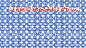 మీ కళ్లకు పరీక్ష.. ఆ 2 బేసి సంఖ్యలను 11 సెకన్లలో కనిపెట్టగలరా?