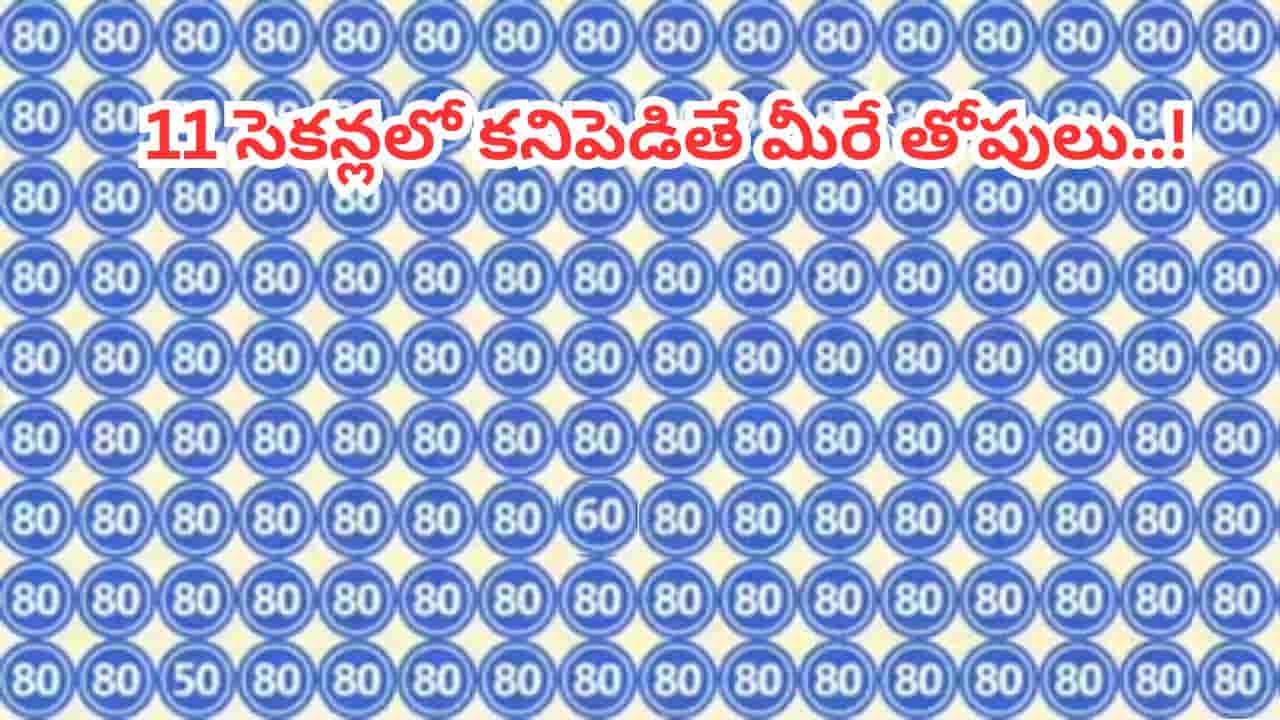 Optical Illusion: మీ కళ్లకు పరీక్ష.. ఈ ఫోటోలో దాగున్న ఆ ‘రెండు’ బేసి సంఖ్యలను 11 సెకన్లలో కనిపెట్టగలరా?