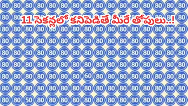 Optical Illusion: మీ కళ్లకు పరీక్ష.. ఈ ఫోటోలో దాగున్న ఆ ‘రెండు’ బేసి సంఖ్యలను 11 సెకన్లలో కనిపెట్టగలరా?