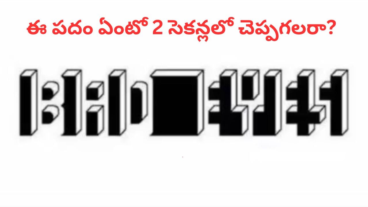 Optical Illusion: మీ కళ్లకు మైండ్‌ బ్లోయింగ్ ఛాలెంజ్.. ఈ ఫొటోలో దాగున్న పదం ఏంటో 2 సెకన్లలో చెప్పగలరా..?