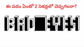 ఈ ఫొటోలో దాగున్న పదం ఏంటో 2 సెకన్లలో చెప్పగలరా..?
