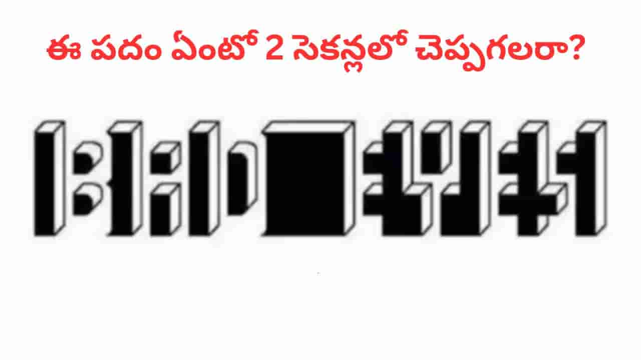 Optical Illusion: మీ కళ్లకు మైండ్ బ్లోయింగ్ ఛాలెంజ్.. ఈ ఫొటోలో దాగున్న పదం ఏంటో 2 సెకన్లలో చెప్పగలరా..?