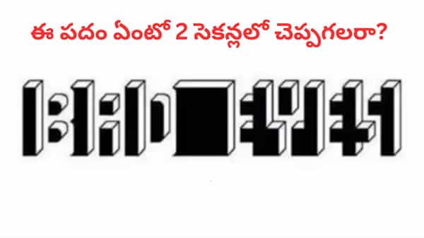 Optical Illusion: మీ కళ్లకు మైండ్ బ్లోయింగ్ ఛాలెంజ్.. ఈ ఫొటోలో దాగున్న పదం ఏంటో 2 సెకన్లలో చెప్పగలరా..?