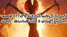 ఇవాళే OTTలోకి వచ్చేసిన బాక్సాఫీస్ సెన్సేషన్.. తెలుగులోనూ చూడొచ్చు