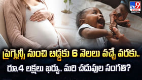 ప్రెగ్నెన్సీ నుంచి బిడ్డకు 6 నెలలు వచ్చే వరకు.. రూ.4 లక్షలు ఖర్చు