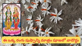 పారిజాతం పుష్పాలు 9 రకాలా? కిందపడిన పూలనే పూజలో ఎందుకు వాడాలి..