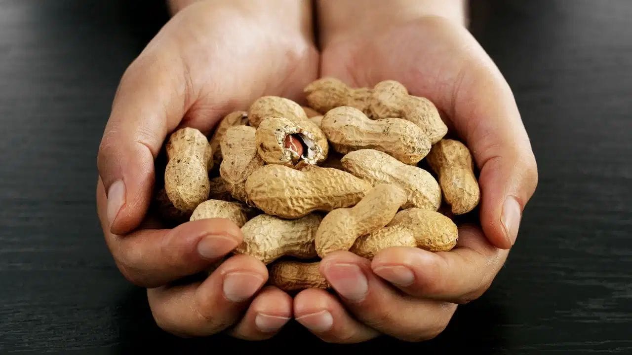Peanuts Benefits: పల్లీలతో ప్రాణాంతక వ్యాధికి చెక్.. డైలీ గుప్పెడు తింటే చాలు