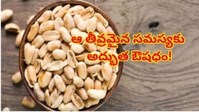 గుండెపోటుకు చెక్ పెట్టే గుప్పెడు పల్లీలు..ఆ తీవ్రమైన సమస్యకు ఔషధం
