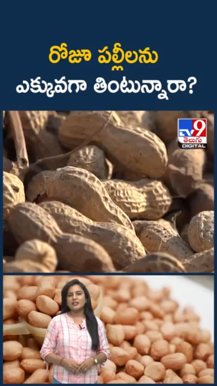 Peanuts: రోజూ పల్లీలను ఎక్కువగా తింటున్నారా?