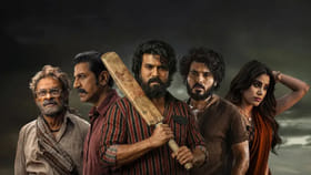 పెద్ది సినిమాకు రామ్ చరణ్ పారితోషికం ఎంతంటే..