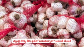 వెల్లుల్లి తొక్క తీసి ఫ్రిజ్‌లో పెడుతున్నారా? అయితే డేంజరే