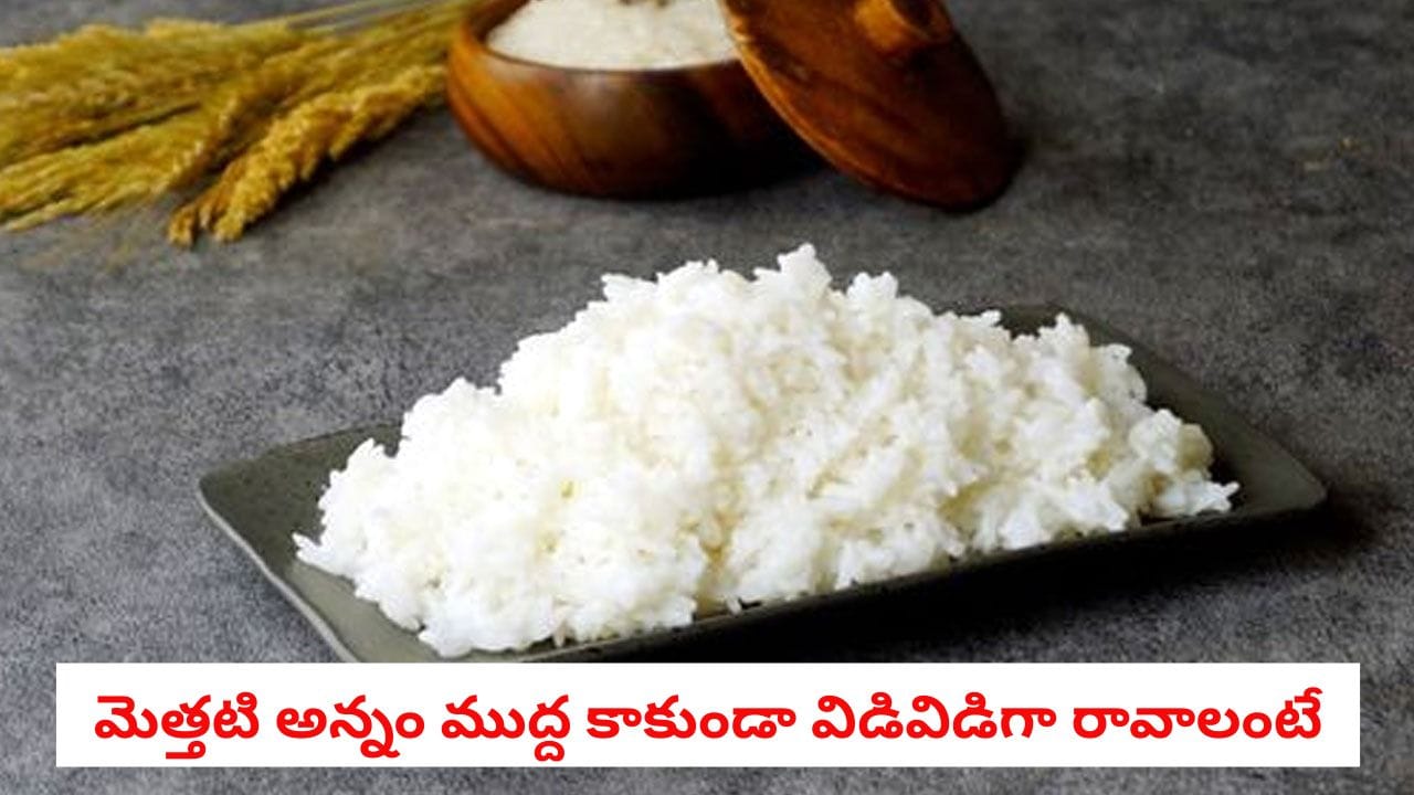 Pressure Cooker: ప్రెషర్ కుక్కర్లో అన్నం వండుతున్నారా? ఒక గ్లాసు బియ్యానికి ఎన్ని గ్లాసుల నీళ్లు పోయాలో తెలియట్లేదా?