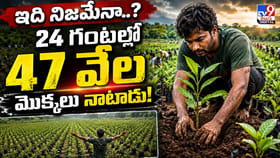 24 గంటల్లో 47 వేల మొక్కలు.. గిన్నిస్ రికార్డు!