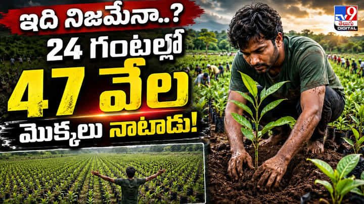 24 గంటల్లో 47,460 మొక్కలు!.. ప్రకృతి కోసం గిన్నిస్ రికార్డు సృష్టించిన పర్యావరణ యోధుడు 24 గంటల్లో 47,460 మొక్కలు!.. ప్రకృతి కోసం గిన్నిస్ రికార్డు సృష్టించిన పర్యావరణ యోధుడు