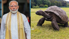 194 ఏళ్ల తాబేలు ‘జోనాథన్’ దగ్గరకు ప్రధాని మోదీ!