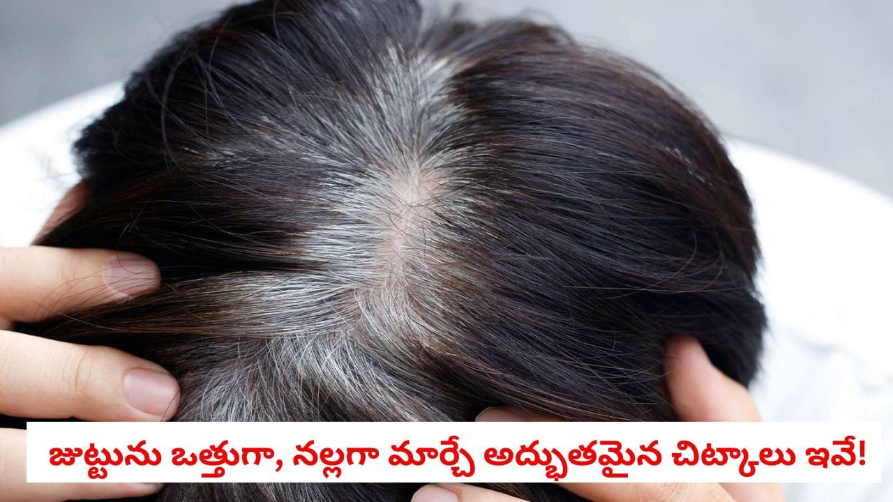 Premature Greying: 25 ఏళ్లకే జుట్టు తెల్లబడుతోందా? ఈ 5 తీసుకుంటే వృద్ధాప్యం వరకు జుట్టు నల్లగా ఉంటుంది!