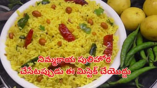 అందరూ చేసే మిస్టెక్ మీరు చేయొద్దు.. నిమ్మకాయ పులిహోర పుల్లంగా, కారంగా రావాలంటే.. సింపుల్‌గా ఇలా చేయండి..