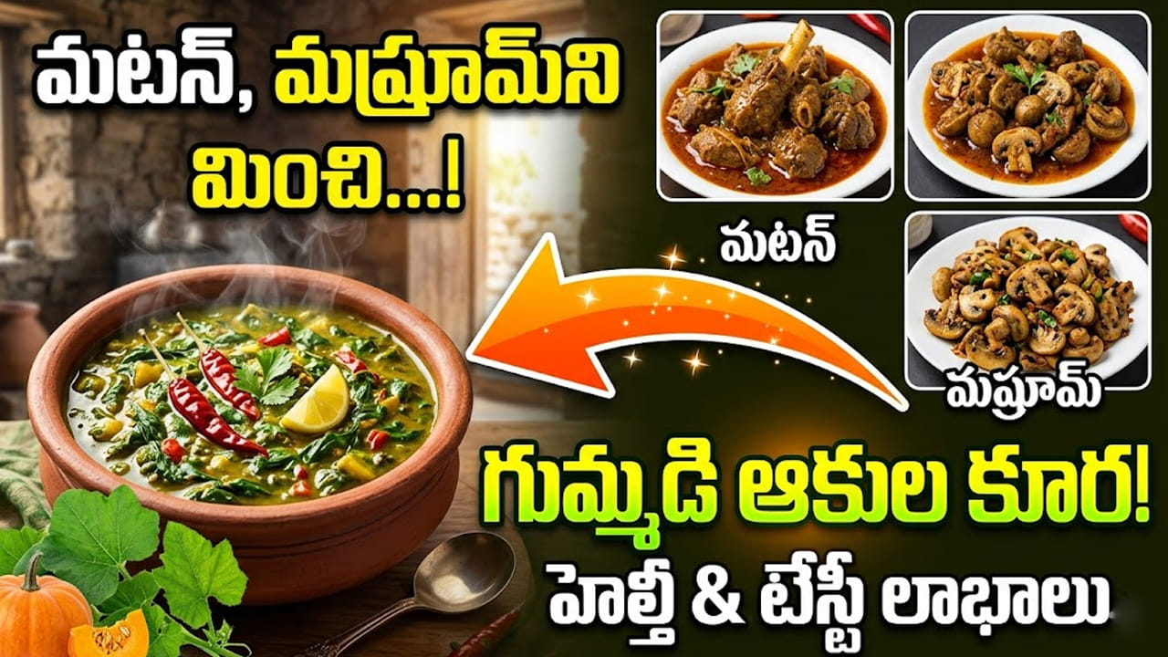 గుమ్మడి ఆకుల కూర తింటే మటన్, మష్రూమ్ మర్చిపోతారు! ఆరోగ్య ప్రయోజనాలు, తయారీ విధానం ఇదే..