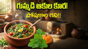 గుమ్మడి ఆకుల కూర తింటే మటన్,మష్రూమ్ మర్చిపోతారు!ఆరోగ్య ప్రయోజనాలు