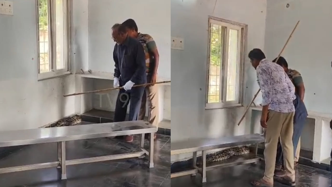Video: అర్ధరాత్రి గర్ల్స్ హాస్టల్ గదిలో వింత శబ్దాలు.. తెల్లారి డోర్ తీసి చూడగా భయపెట్టే సీన్.. ఇదిగో వీడియో..