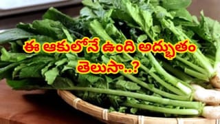 Chicken Curry Recipe: నోరూరించే విలేజ్ స్టైల్ చికెన్ కర్రీ.. తిన్నాక వావ్ అనాల్సిందే..!
