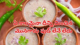 రోగ నిరోధక శక్తిని పెంచే ఫుడ్.. దీన్ని కొట్టే మొనగాడు లేనేలేదు..