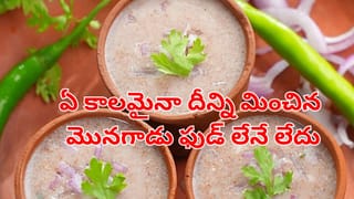 ఎండాకాలం అయినా.. వర్షాకాలం అయినా.. దీన్ని కొట్టే మొనగాడు ఫుడ్ లేనేలేదు మావ.. ఈ సీజన్‌లో..