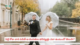పెళ్లి రోజు వాన పడితే ఆ దంపతుల భవిష్యత్తు ఎలా ఉంటుందో తెలుసా?