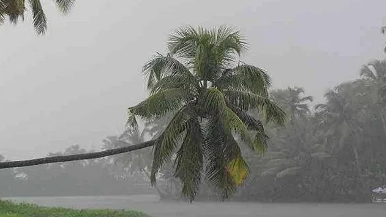రాగల 3 రోజుల పాటు వాతావరణంలో భారీ మార్పులు రానున్నాయి . ఈరోజు,రేపు , ఎల్లుండి రాష్ట్రంలోని  కొన్ని జిల్లాలలో తేలికపాటి నుండి మోస్తారు వర్షాలు అక్కడక్కడ కురిసే అవకాశం ఉంది. రాష్ట్రంలో  గరిష్ట ఉష్ణోగ్రతలు  రానున్న మూడు రోజులలో పెద్దగా మార్పు లేదు.
