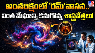 ఉద్యోగాలన్నీ ఏఐ తీసేస్తుందా..? మనుషులను టెక్నాలజీ భర్తీ చేయలేదు!