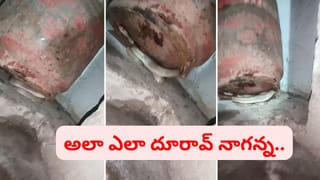ఏంటి నాగన్న.. అలా ఎలా దూరావ్.. కాళ్ల దగ్గర తోక చూసి గుండె ఆగినంత పనైంది.. ఇదిగో వీడియో