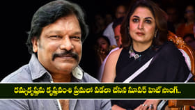 రమ్యకృష్ణను కృష్ణవంశి ప్రేమలో పడేలా చేసిన సూపర్ హిట్ సాంగ్