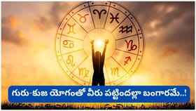 అరుదైన లాభ దృష్టి యోగం.. ఈ 4 రాశుల వారికి ధనం, పదోన్నతి, అదృష్టం!