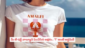 మీ టీ-షర్ట్ వాల్యూని పెంచేసిన అక్షరం.. 'T' అంటే అర్థమిదే