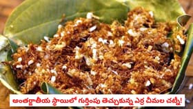 అంతర్జాతీయ స్థాయిలో గుర్తింపు తెచ్చుకున్న ఎర్ర చీమల చట్నీ!
