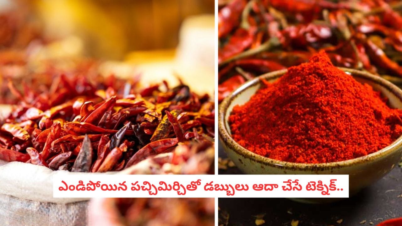 Kitchen Hacks: మిరపకాయలు పాడైపోతున్నాయా?.. ఈ ఒక్క చిన్న చిట్కాతో ఇంట్లోనే బ్రాండెడ్ కారం పొడి రెడీ