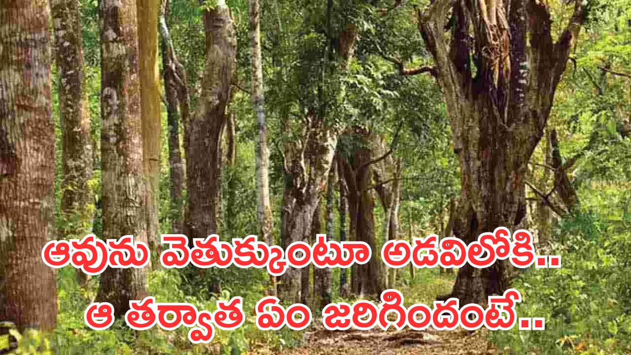 తప్పిపోయిన ఆవును వెతుక్కుంటూ అడవిలోకి వెళ్ళాడు..! తర్వాత జరిగింది తెలిస్తే కన్నీళ్లాగవు