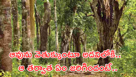 ఆవును వెతుక్కుంటూ అడవిలోకి వెళ్ళాడు..! తర్వాత..