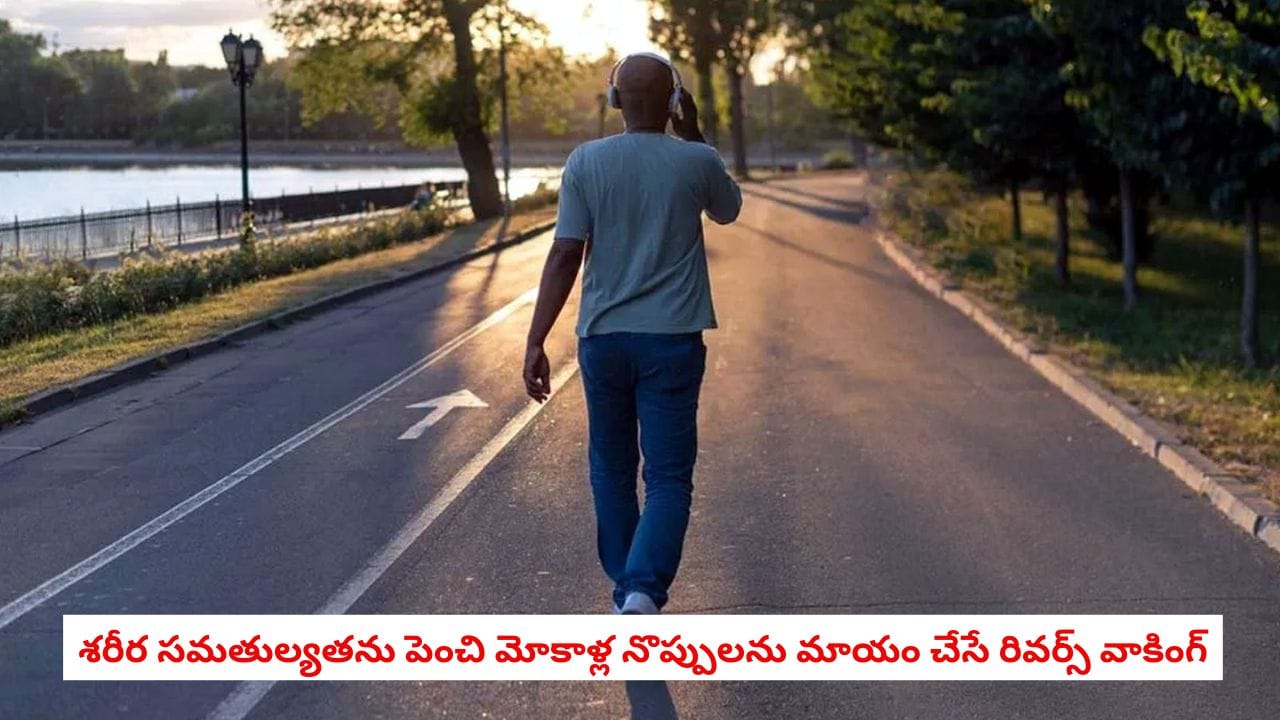 Retro Walking: రోజూ ఉదయం కేవలం 30 సెకన్లు వెనక్కి నడిస్తే ఏం జరుగుతుందో తెలుసా? వైద్యులు చెబుతున్న పక్కా నిజాలు ఇవే!