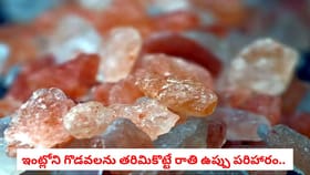 ఇంట్లోని గొడవలను తరిమికొట్టే రాతి ఉప్పు పరిహారం..