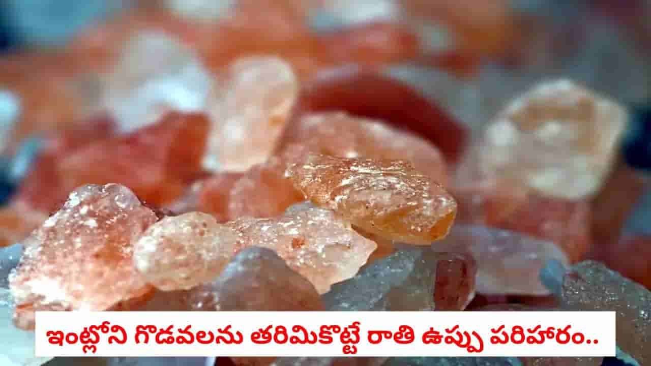 Vastu Tips: ఇంట్లో మళ్లీ మళ్లీ గొడవలు జరుగుతున్నాయా? ఒక్క గిన్నెడు రాతి ఉప్పుతో అన్ని సమస్యలు మాయం!
