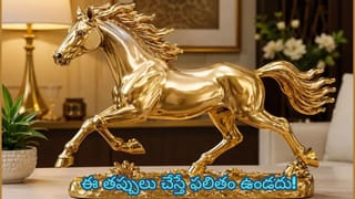 Vastu Tips: ఇంట్లో పరుగెడుతున్న గుర్రం విగ్రహం ఉందా? ఈ దిశలో పెడితే కెరీర్, వ్యాపారంలో తిరుగుండదు!