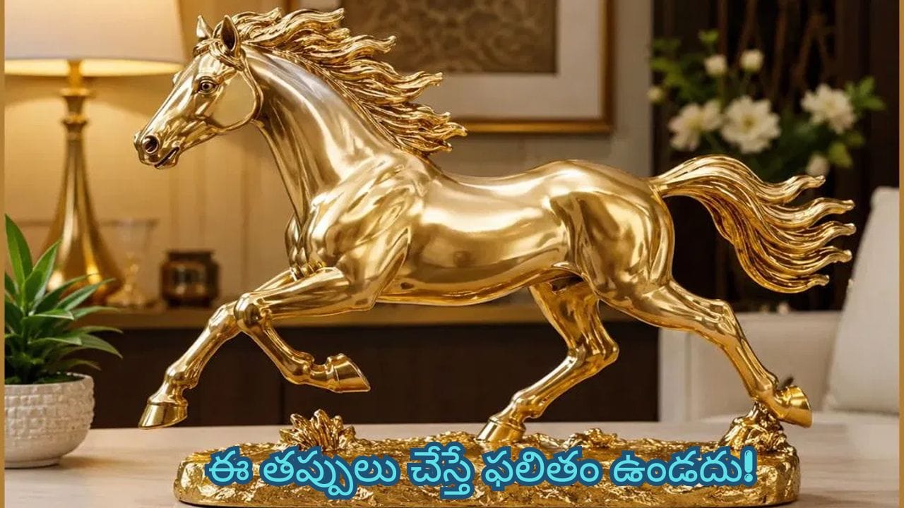 గుర్తుంచుకోవాల్సిన ముఖ్యమైన విషయాలు.. విరిగిన, పాడైన లేదా రంగు ఊడిపోయిన గుర్రం విగ్రహాన్ని ఇంట్లో లేదా కార్యాలయంలో ఉంచకూడదు. విగ్రహాన్ని ఎప్పుడూ శుభ్రంగా ఉంచాలి. అందరికీ సులభంగా కనిపించే ప్రదేశంలో ఉంచడం మంచిది. గుర్రం ముందుకు పరుగెడుతున్నట్లుగా ఉండే విగ్రహాన్ని ఎంపిక చేసుకోవడం శ్రేయస్కరం.
(Disclaimer: ఇక్కడ అందించిన సమాచారం వాస్తు శాస్త్రం, సాధారణ నమ్మకాల ఆధారంగా మాత్రమే అందించబడింది. ఈ సమాచారం ఖచ్చితంగా నిజం లేదా శాస్త్రీయంగా నిర్ధారితమైన సమాచారం అని భావించకండి. వ్యక్తిగత నిర్ణయాలు తీసుకునే ముందు సంబంధిత నిపుణులను సంప్రదించడం మంచిది.)