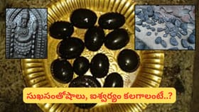 సాలగ్రామాన్ని ఇంట్లో ఉంచుకోవడం మంచిదేనా? అపోహలు, వాస్తవాలు..