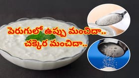 ఉప్పు vs పంచదార..పెరుగులో ఏది కలిపి తింటే ఏం జరుగుతుంది?