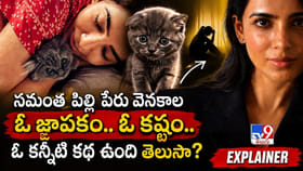 సమంత పిల్లి పేరు వెనకాల.. ఓ జ్ఙాపకం.. ఓ కష్టం..