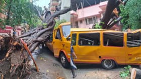 విద్యార్థులతో వెళ్తున్న స్కూల్ బస్సుపై కూలిన భారీ చెట్టు!